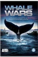 Watch Whale Wars Wootly